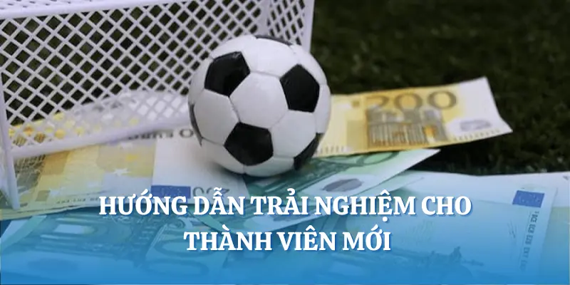 Hướng dẫn trải nghiệm cho thành viên mới