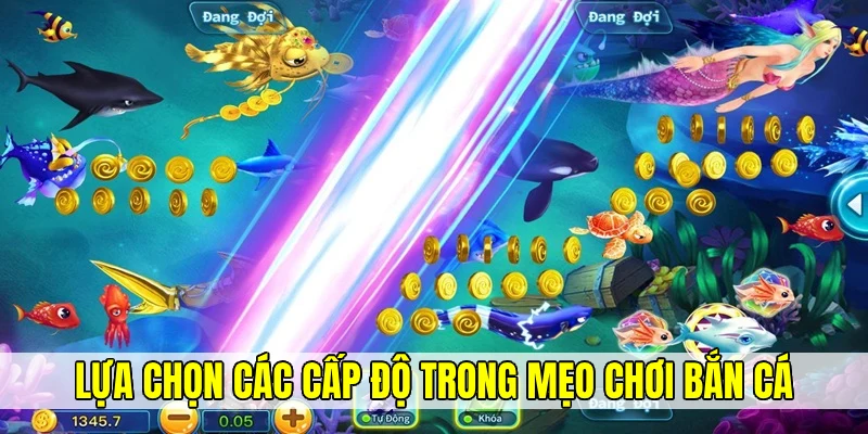 Phân bổ lối chơi dựa trên những cấp độ nhất định