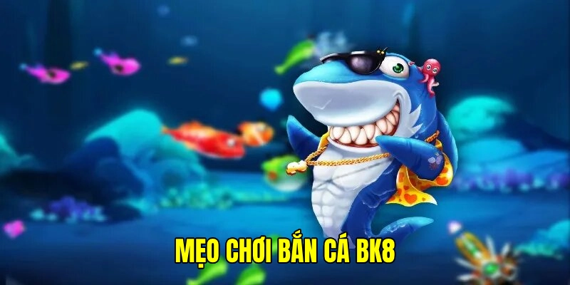 Mẹo Chơi Bắn Cá - Tổng Hợp Những Thông Tin Bổ Ích 2025